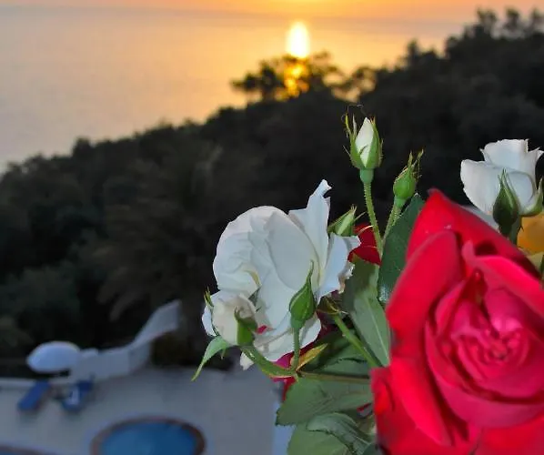 Maria With Pool And Gorgeous View - Agios Gordios アパート *